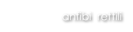 anfibi  rettili