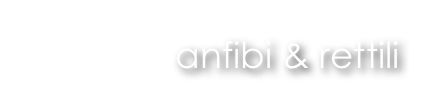 anfibi & rettili