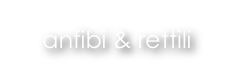 anfibi & rettili