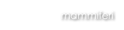 mammiferi