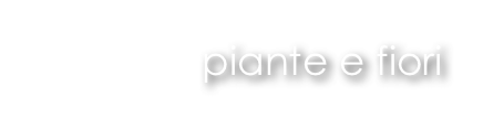 piante e fiori